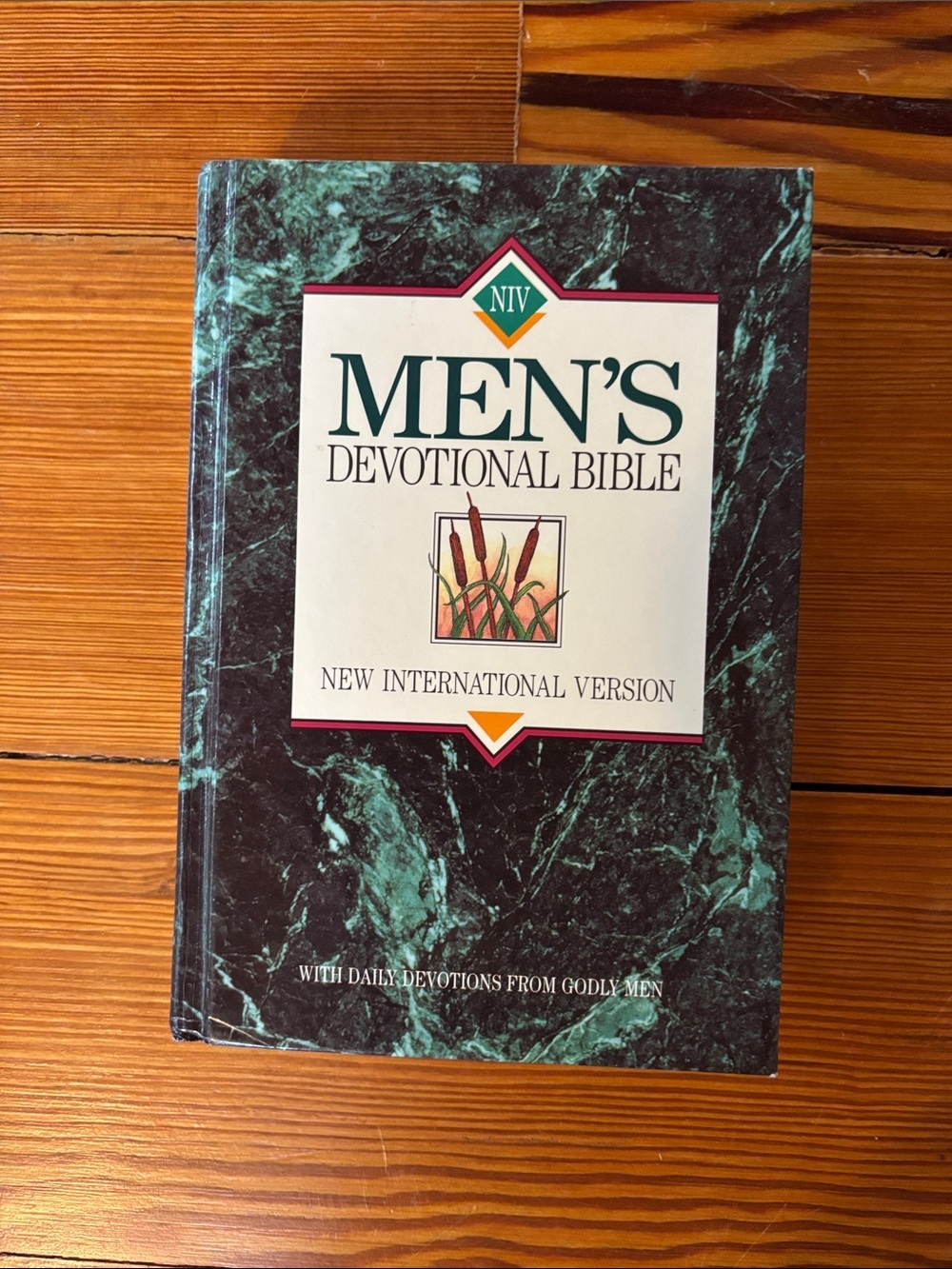 NIV Men's Devotional Bible - Dark Green Marble Cover...New International Version